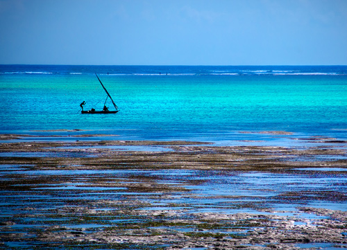 Zanzibar: photo by thinkingmagpie