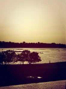 Sir Bani Yas Island | Photo by The Perfume Magpie