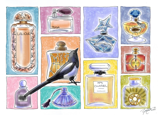 Magpie's Perfume Bottle Collection