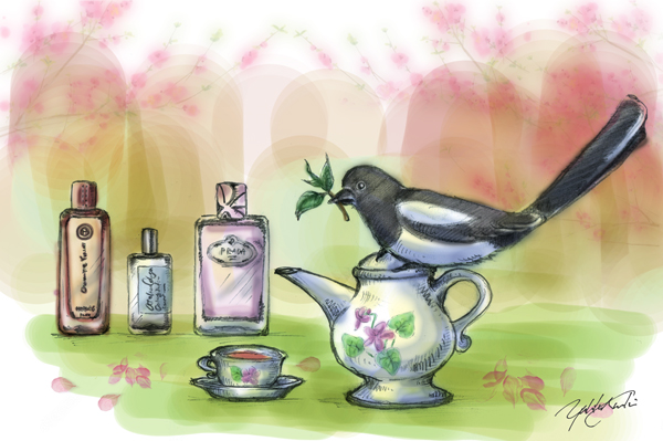 Tea Fragrances for Spring | Illustration by The Perfume Magpie