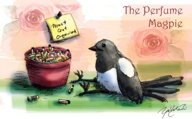 Must Get Organised | Illustration by The Perfume Magpie