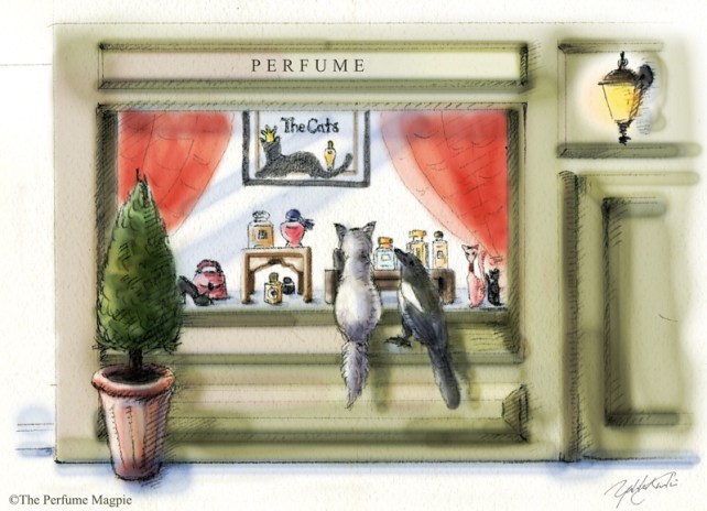 Which Perfume Would You Like To Wear? | Illustration by The Perfume Magpie