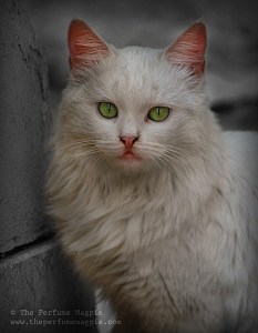 Princess | Photo by The Perfume Magpie