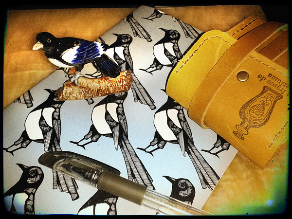 Magpie is getting ready...